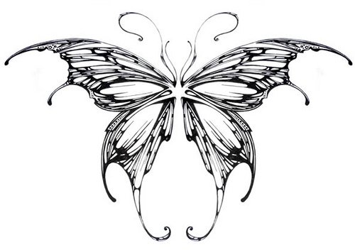 Крылья бабочки эскиз