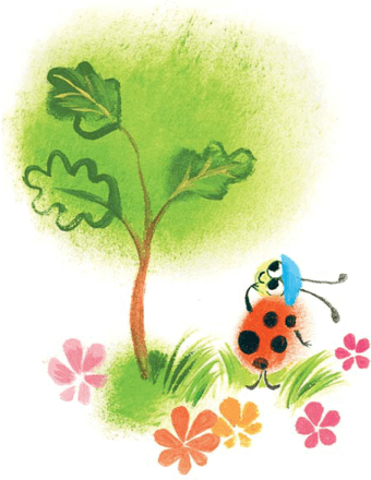 Сказка про маленький Дубок