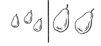 Груша нарисовать маленькая