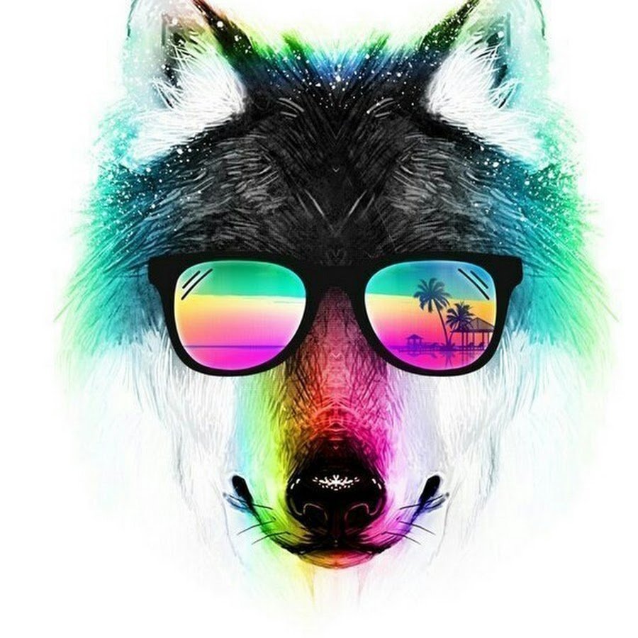 Волк в очках