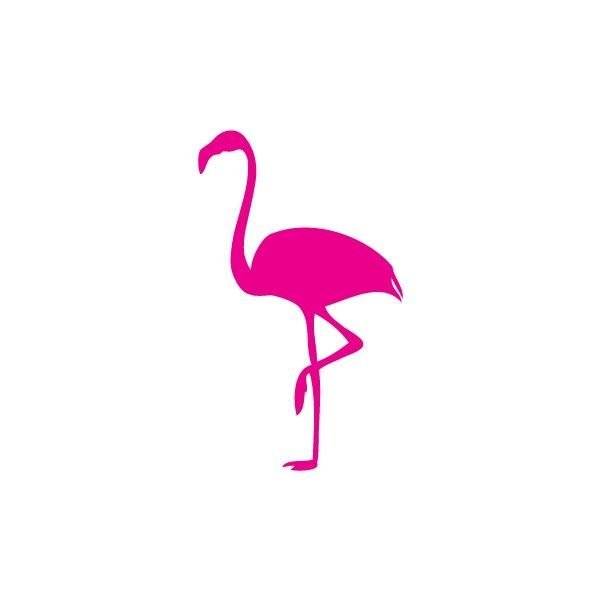 Фламинго Светлана Янецкая