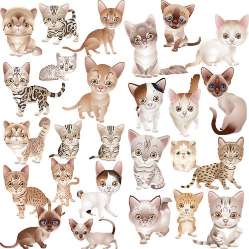 Котики на одном листе