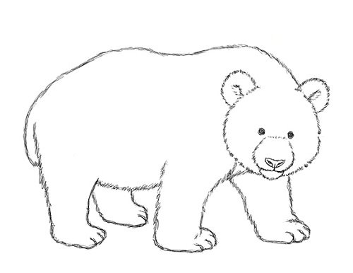 Медведь для срисовки карандашом