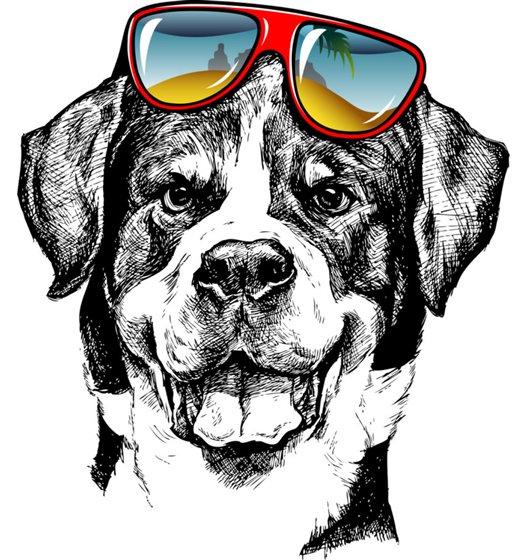 Рисунки карандашом животные