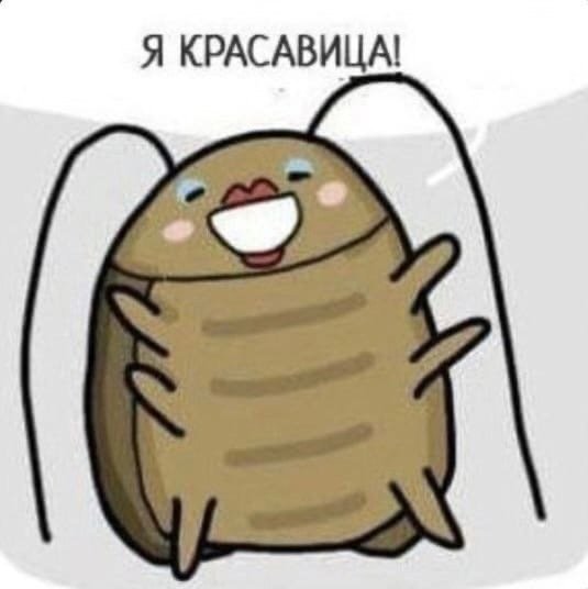 Милые тараканы