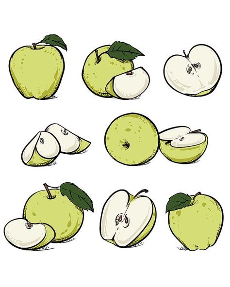 Скетч фрукты яблоки зелёные