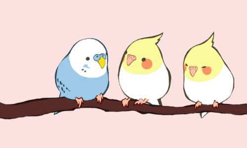 Милые птички аниме