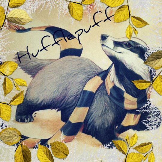 Как нарисовать барсука