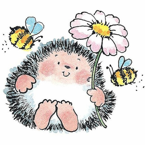 Милые Ёжики для срисовки