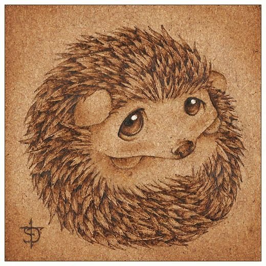 Выжигание по дереву ёж