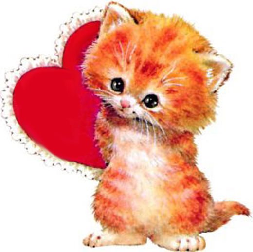 Котенок с сердечком