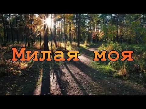 Солнышко Лесное иллюстрация