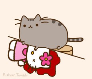 Двигающиеся няшные котики