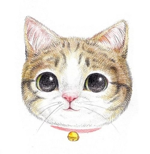 Мордашка кошечки