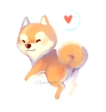 Шиба ину Чиби