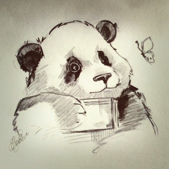 Панда милые скетчи