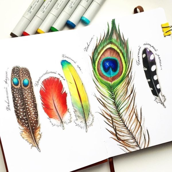 Рисунки для скеч бкука