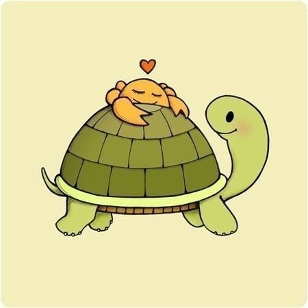 Милые картиночки с черепахой