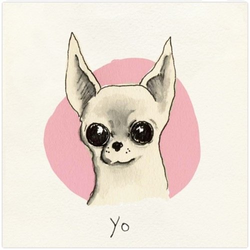 Милые рисунки собак для срисовки