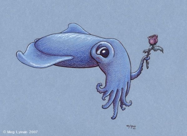 Кальмар милый рисунок