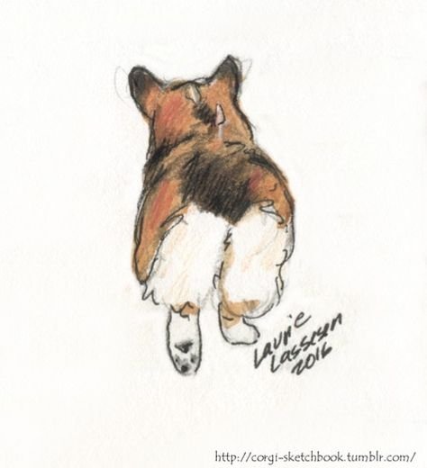 Скетчбук собака корги