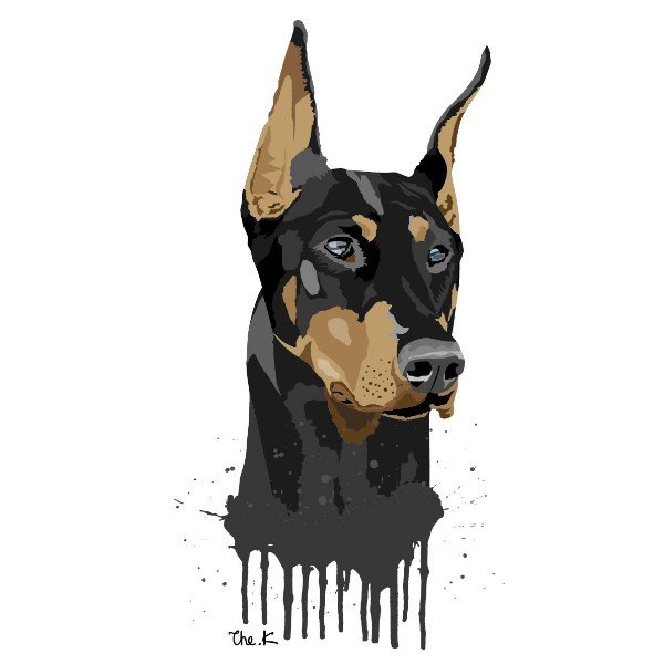 Доберман скетчинг