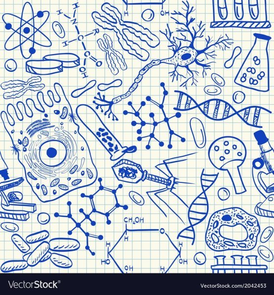 Маленькие рисуночки для тетради по биологии