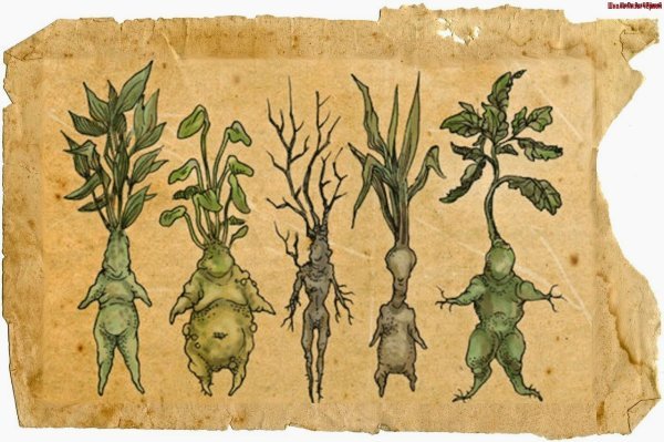 Goblincore лягушки