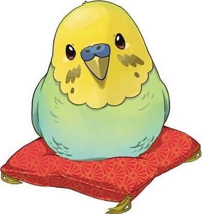 Милые попугайчики мультяшные