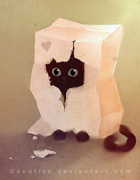 Кошка в коробке арт