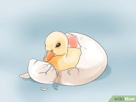 Утенок арт милый