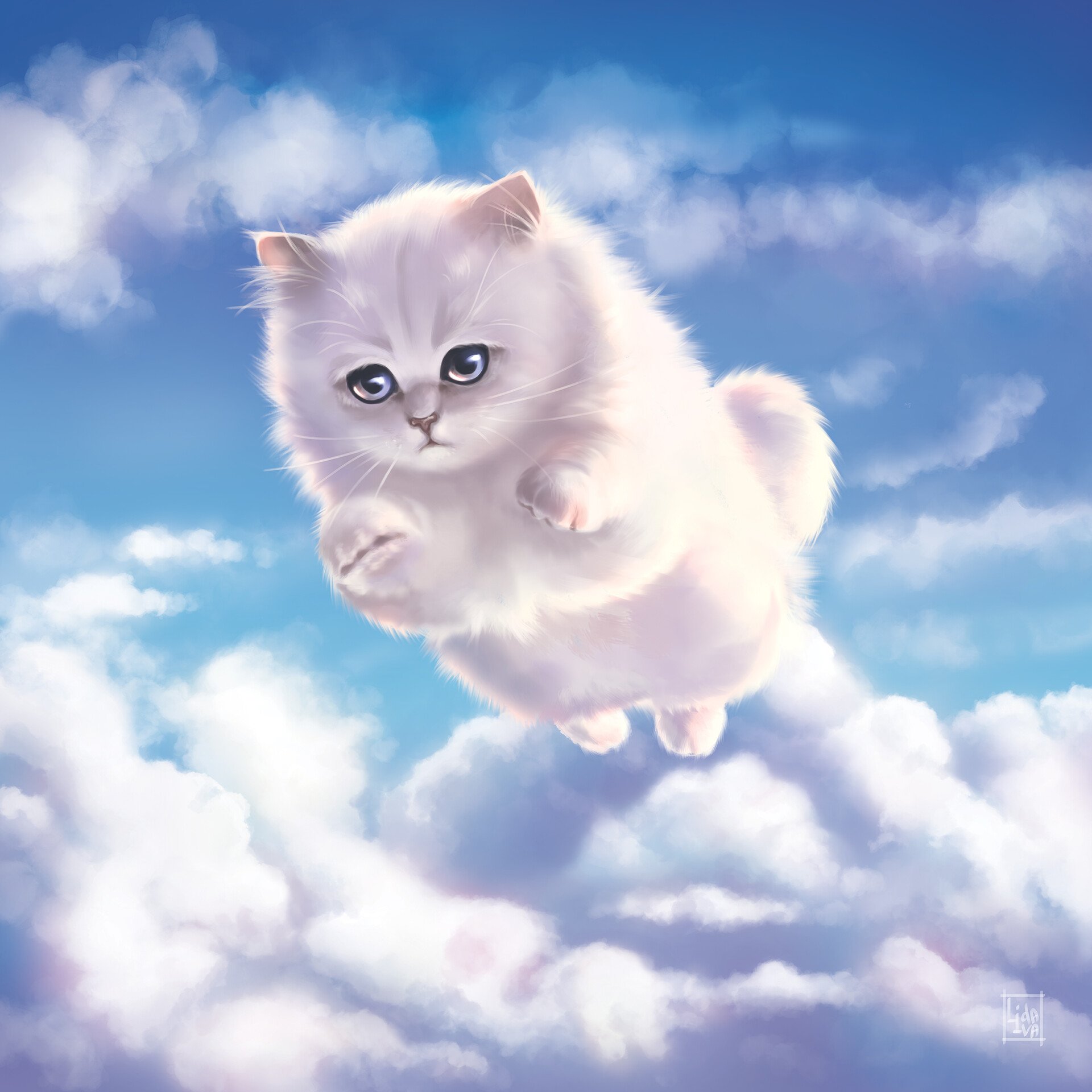 Коты в облаках