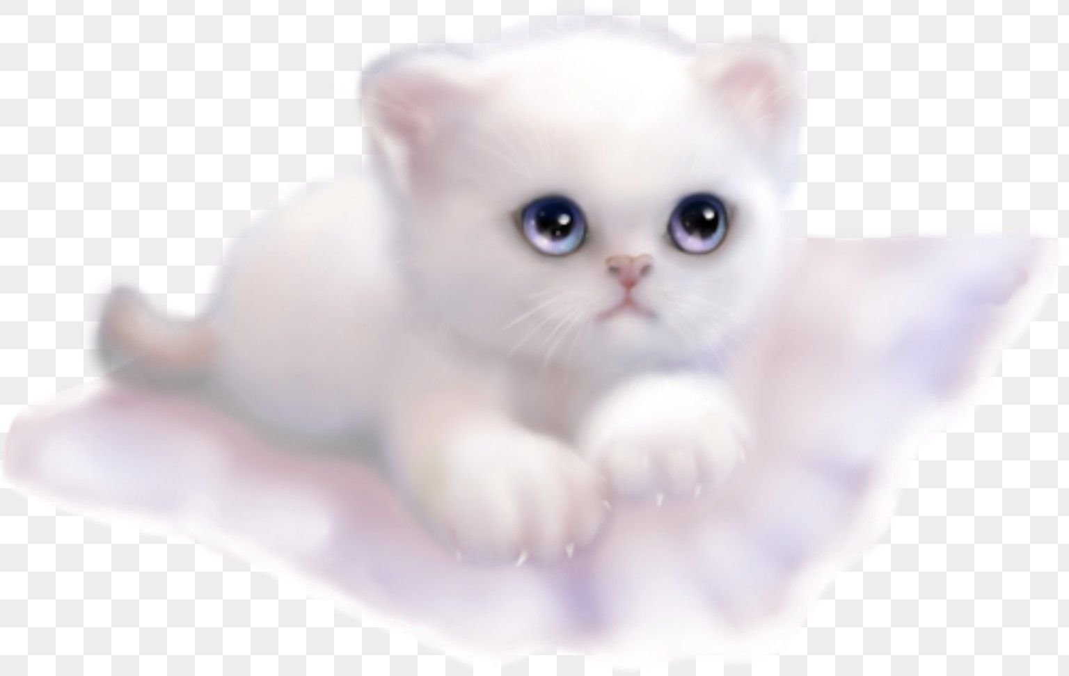 Белый котенок на прозрачном фоне