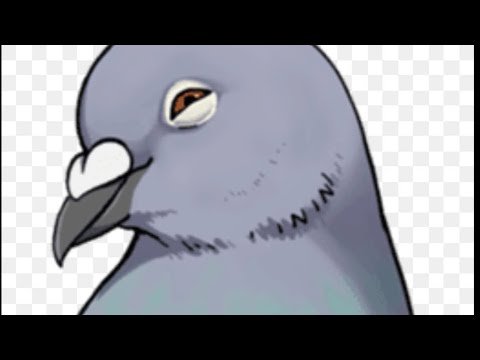 Голуби милые рисунки