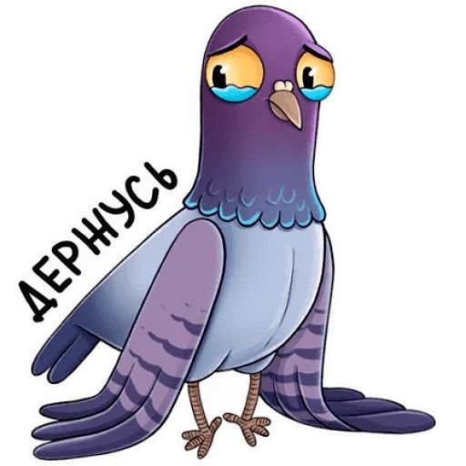 Голубь нарисованный смешной