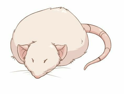 Крыса милый арт
