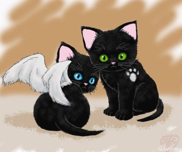 Черный и белый кот арт