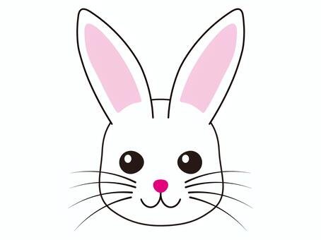 Мордочка зайчика легко
