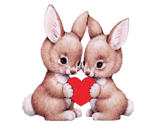 Зайчики обнимаются