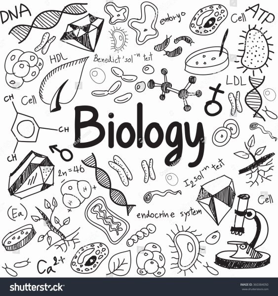 Школьные формулы