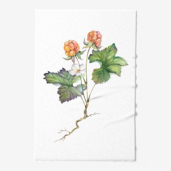 Морошка скетч