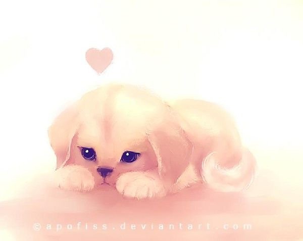 Сиба ину Чиби