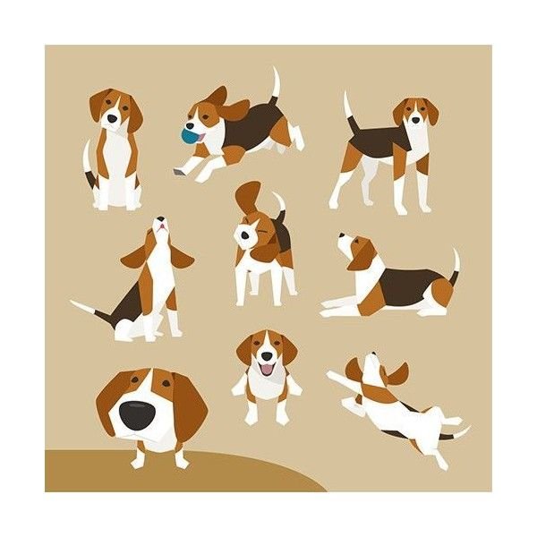 Собака вид сверху вектор