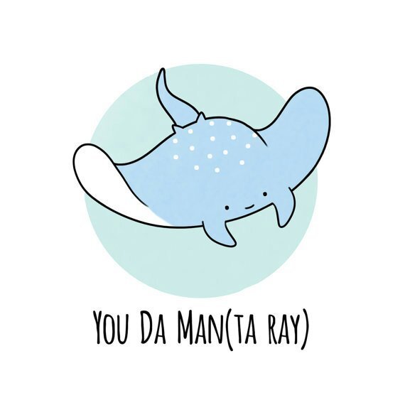 Милые скаты рисунки