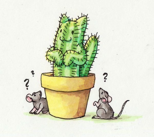 Злой Кактус