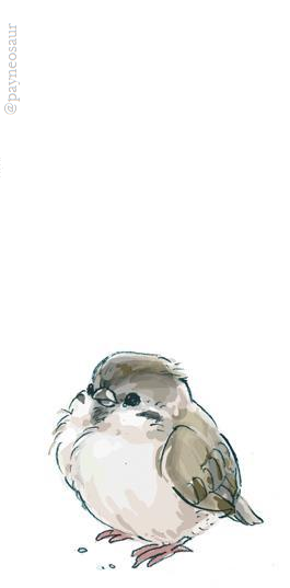 Клюв воробья рисунок