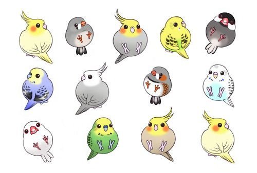 Кавайные попугайчики