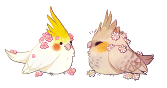 Арт попугай корелла Чиби