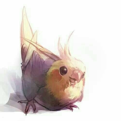 Попугай корелла милый арт