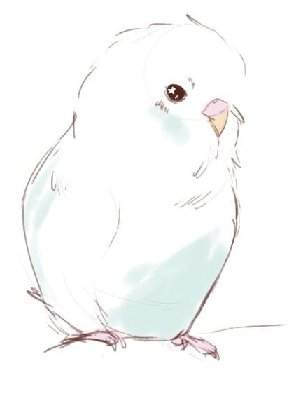 Волнистый попугайчик аниме